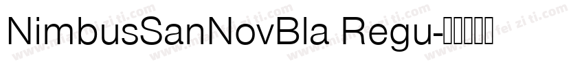 NimbusSanNovBla Regu字体转换